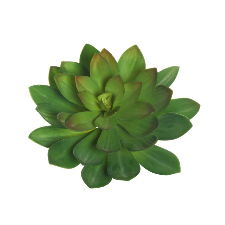 ECHEVERIA GIANT PLASTIC GREEN 32CM