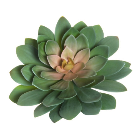 ECHEVERIA GIANT PLASTIC 3COLORI 33CM