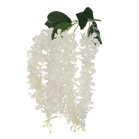 WISTERIA HANGING BUSH X5 WHITE