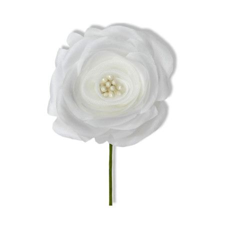 ROSA CON SEMI WHITE D6