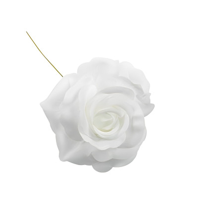 FIORE A ROSA BIANCO