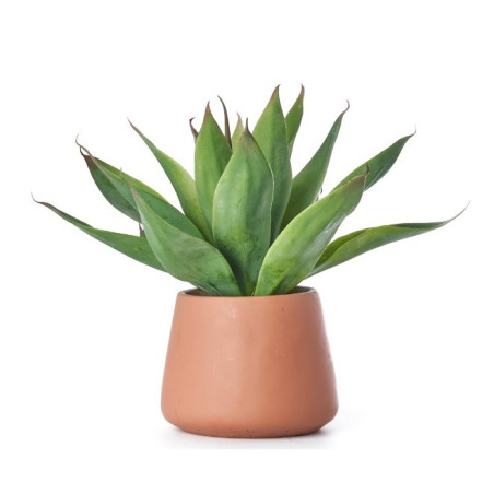 ALOE CON VASO CERAMICA 35 CM