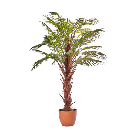 PIANTA ARECA X31 125CM