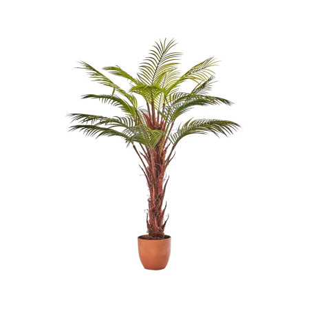 PIANTA ARECA X16 100CM