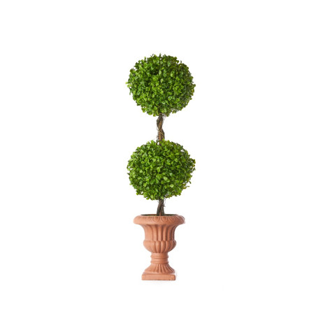 TOPIARY BOXWOOD 65 CM