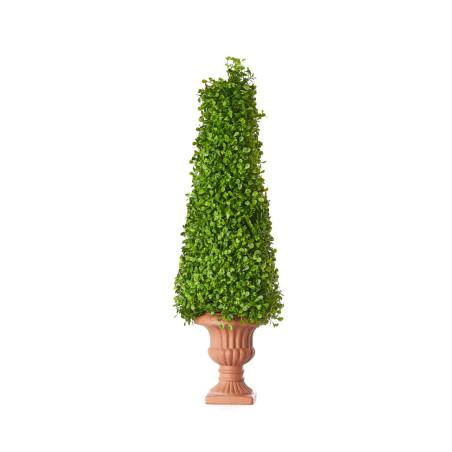 TOPIARY BOXWOOD 70 CM