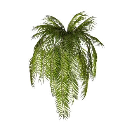 ARECA CON BALCONIERA METALLO 105CM