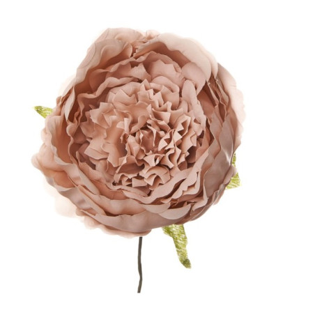 PICK PEONIA BEIGE