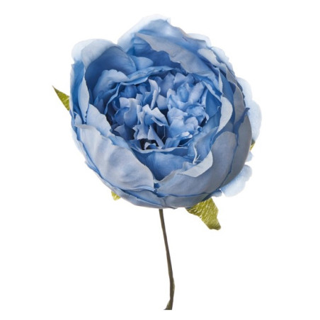 PICK PEONIA BLU