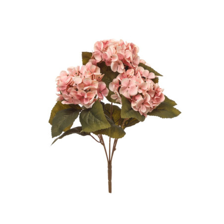 BUSH ORTENSIA X5 H40CM PINK