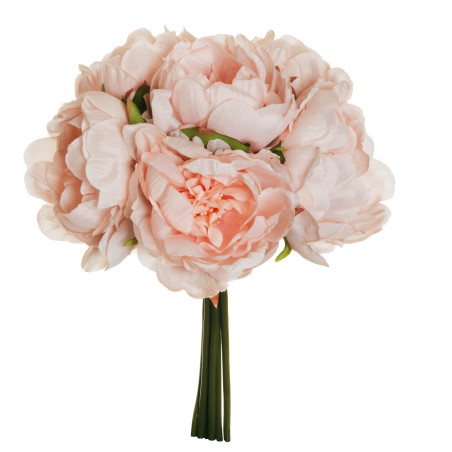 BUSH PEONY X6 PINK CREAM