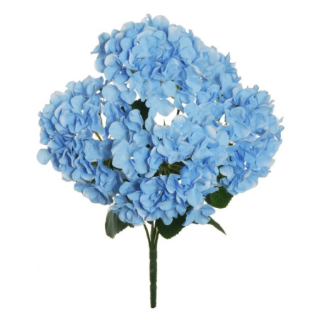 BUSH HYDRANGEA X5 LIGHT BLUE