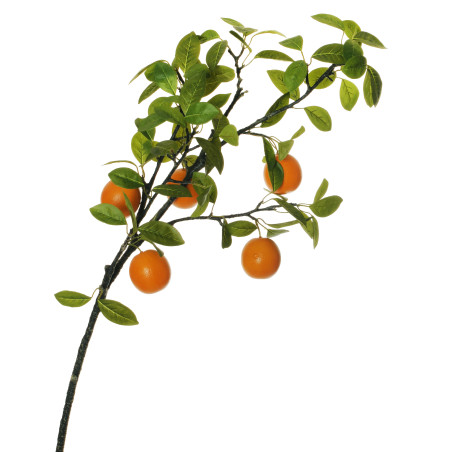 ORANGE BRANCH ORANGE