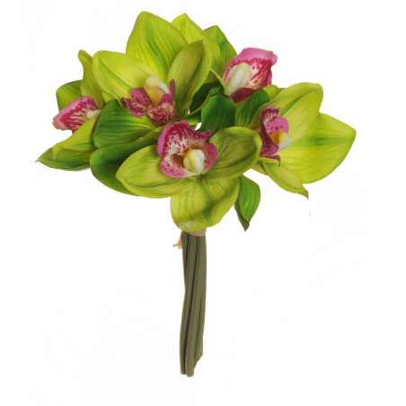 CYMBIDIUM REAL TOUCH GREEN