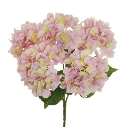 BUSH HYDRANGEA X5 LILAC CREAM