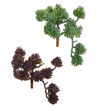 RUBBER SEDUM ALBUM CON 15 FOGLIE 12.5CM