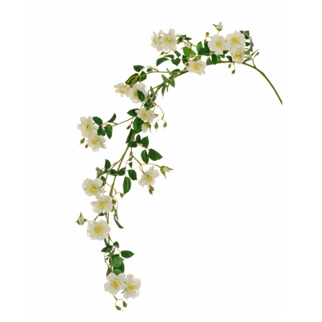 WILD ROSE HANGING BRANCH CREMA