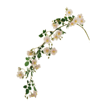 WILD ROSE HANGING BRANCH PINK CREAM