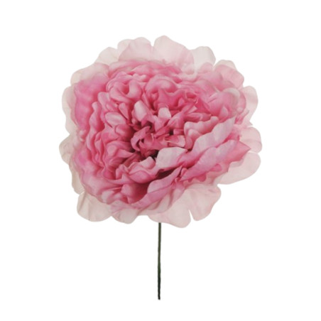 PICK PEONIA PINK D14