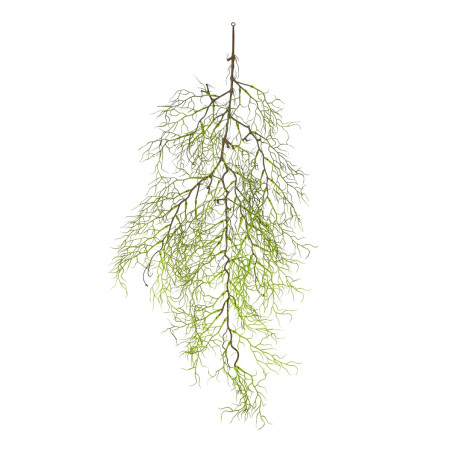 CASCANTE SPANISH MOSS CM 105