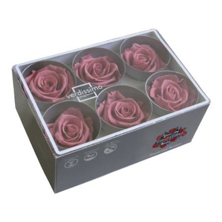 ROSA STANDARD BOX 6 CHERRY VINTAGE