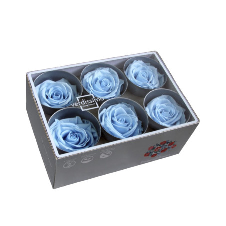 ROSA STANDARD BOX 6 LIGHT BLUE