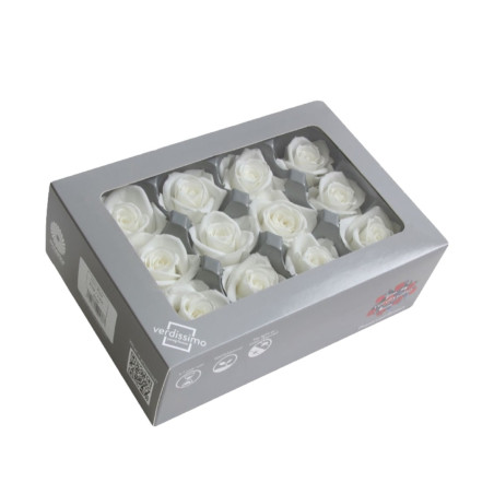 ROSA MINI WHITE 12 BOX