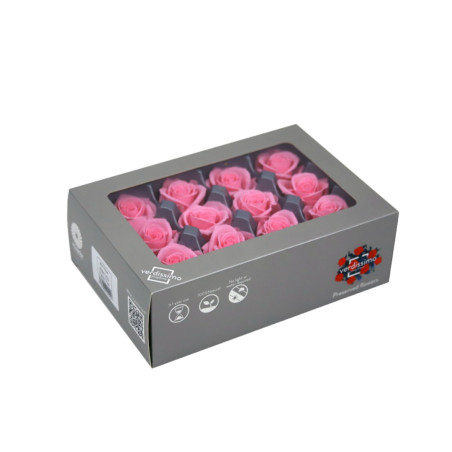 ROSA MINI PINK PASTEL 12 BOX