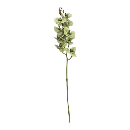 ORCHIDEA X9 3D GREEN