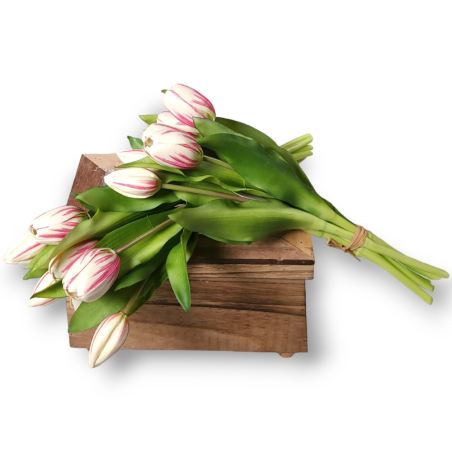 BUNDLE TULIPANI BIANCO FUXIA