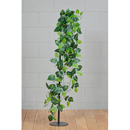 POTHOS CADENTE GREEN