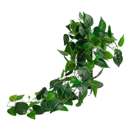 MAZZO CADENTE FOGLIE CM90 POTHOS