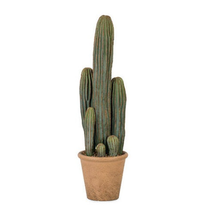 CACTUS COLONNE