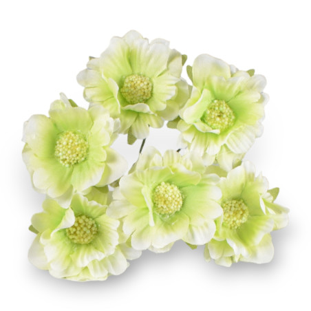 ANEMONE VERDE 4 CM