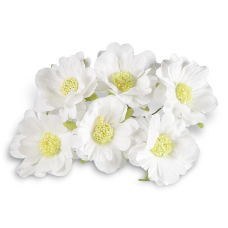 ANEMONE BIANCO 4 CM