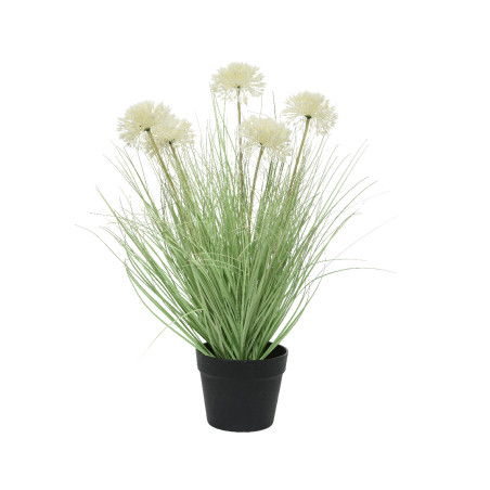 PIANTA IN VASO H62 CM  GREEN-WHITE