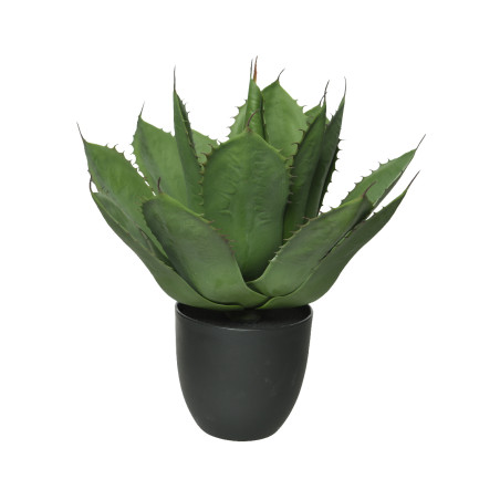 AGAVE IN VASO GREEN H50 CM