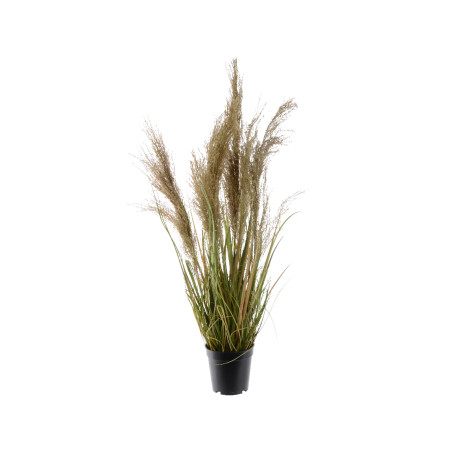 PIANTA DI PAMPAS H115 CM GREEN