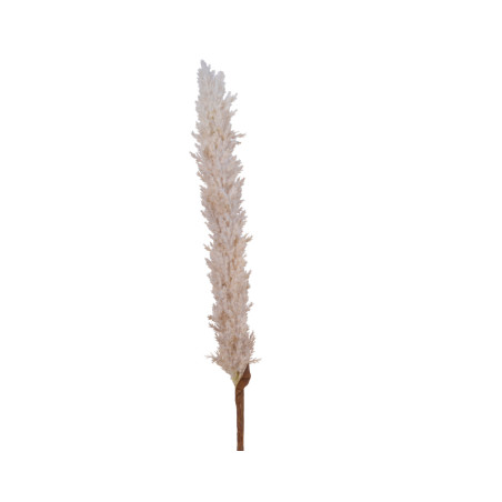 PAMPAS GRASS CREAM H110 CM