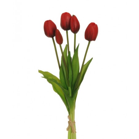 TULIP BUNDLE X5 ROSSO CM38