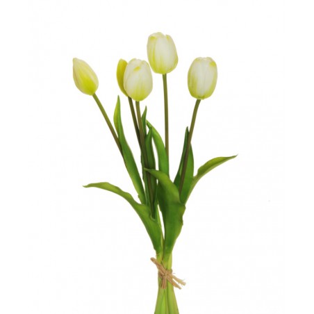 TULIP BUNDLE X5 CREMA CM38