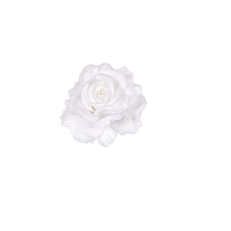 PICK ROSA GEORGIA INNEVATA WHITE