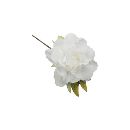 ROSA CON FOGLIA BIANCO