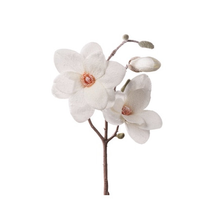 MAGNOLIA INNEVATA BIANCO CM50