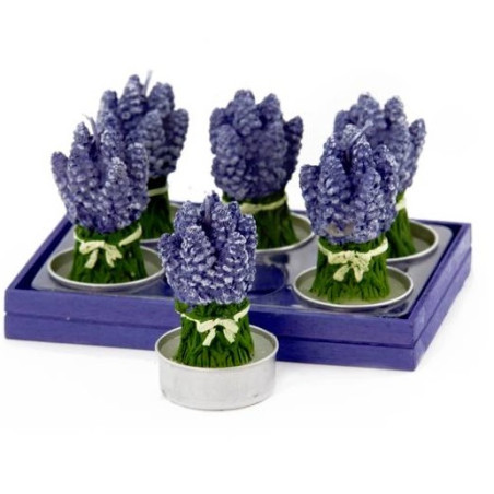 BOX 6 BOUQUET LAVANDA CERA CM7