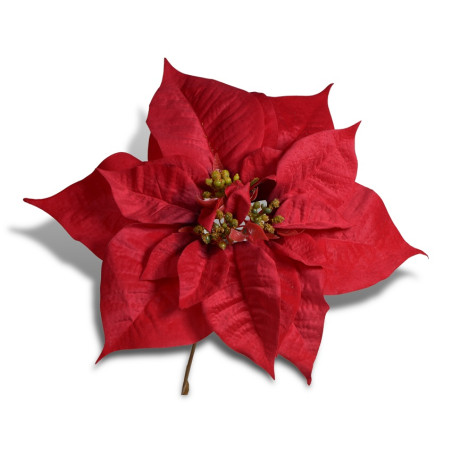 POINSETTA LUSSO RED 29CM